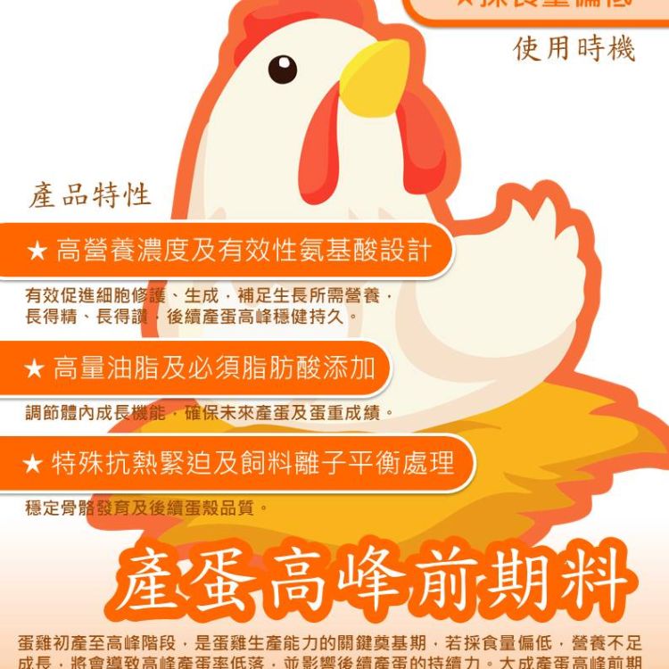 產蛋高峰前期料